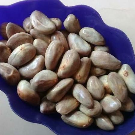 

GRATIS ONGKIR GROSIR MURAH 1kg Biji Buah Nangka Madu Honey Jackfruit AP138