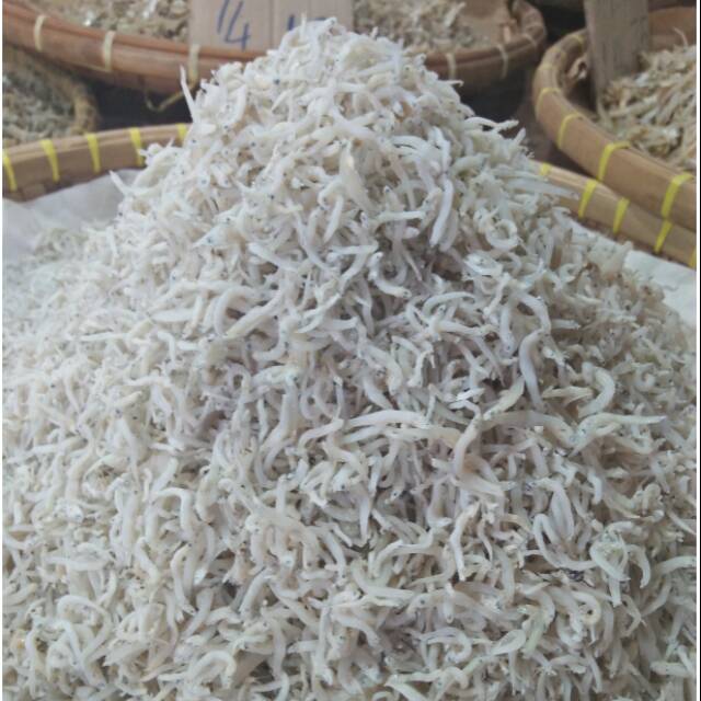 

Ikan teri nasi medan warna putih