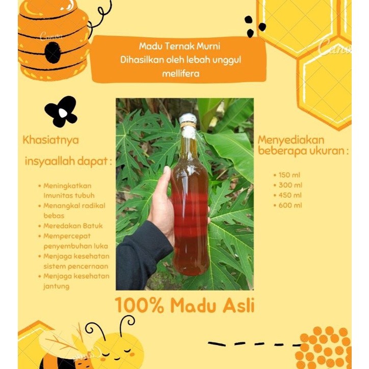 

Madu Ternak