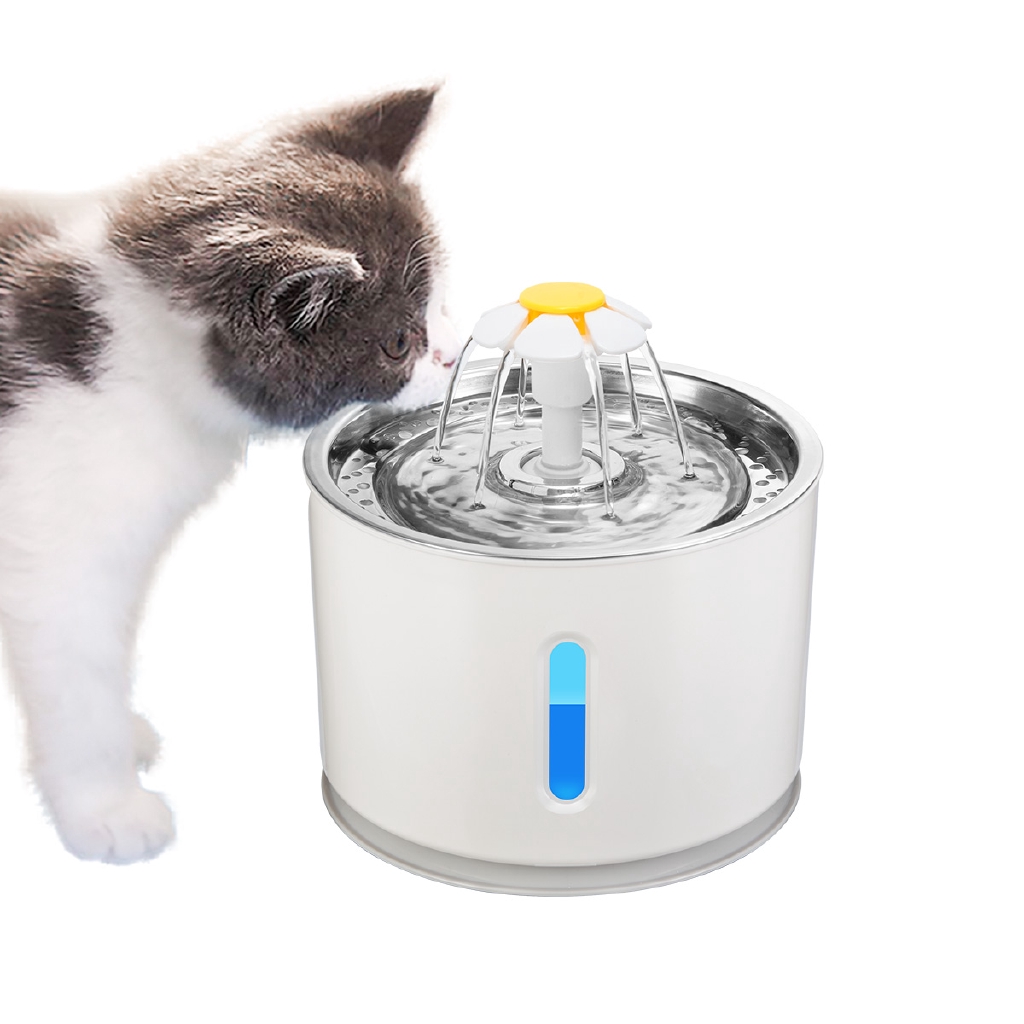 cat h20 fountain
