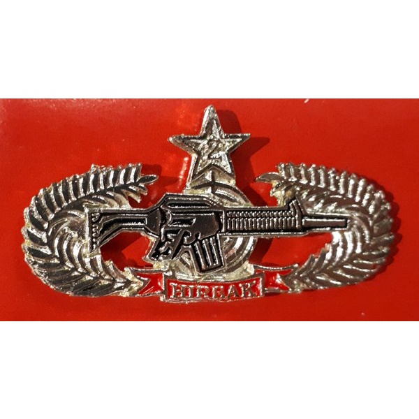 Brevet PDH HIRBAK 2
