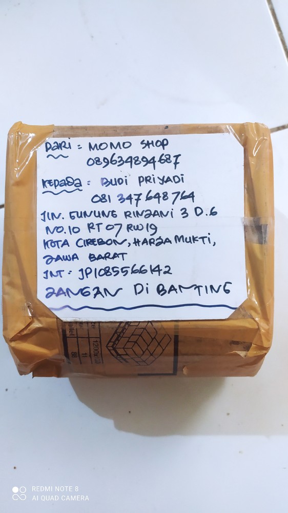 Ikan Cupang Plakat Gold