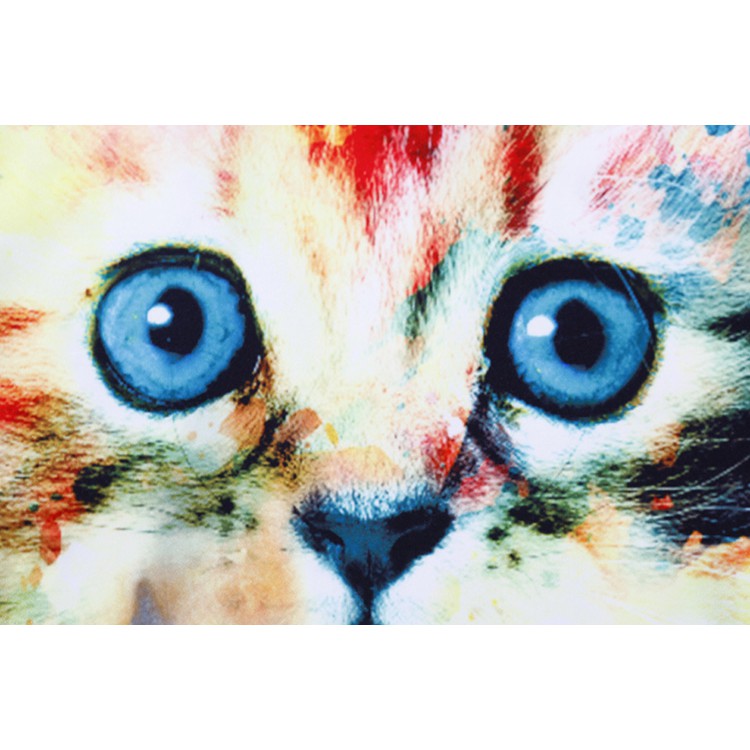 ITS-49 premium full print sweater kaos fullprint colorfull cat import