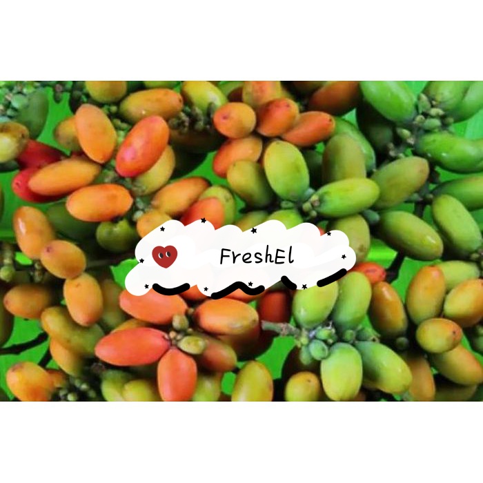 

FreshEl - BUAH MELINJO / TANGKIL 250GR