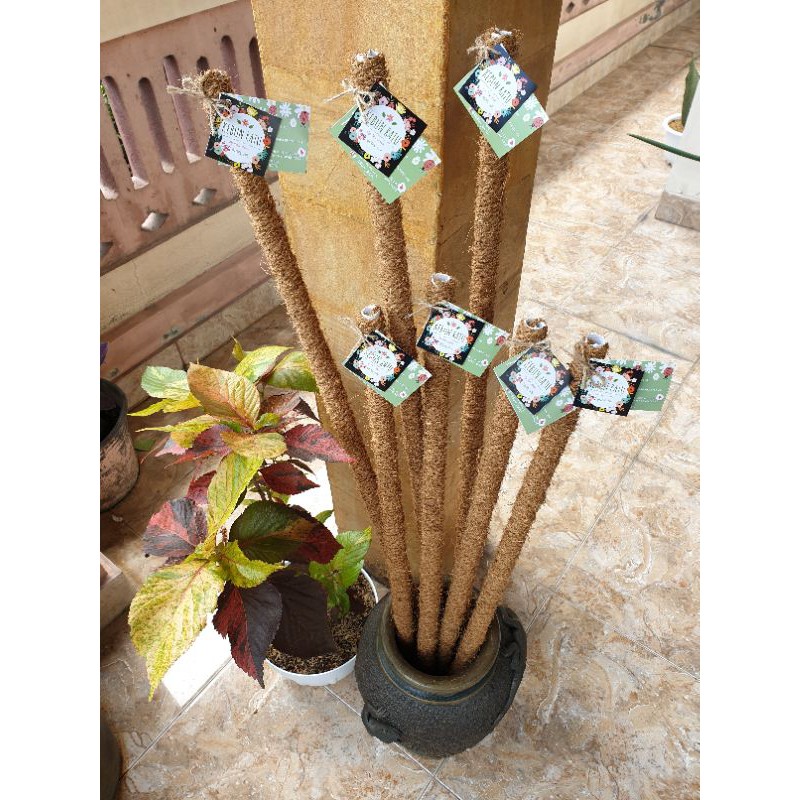 Turus Penyangga Tanaman 30 cm