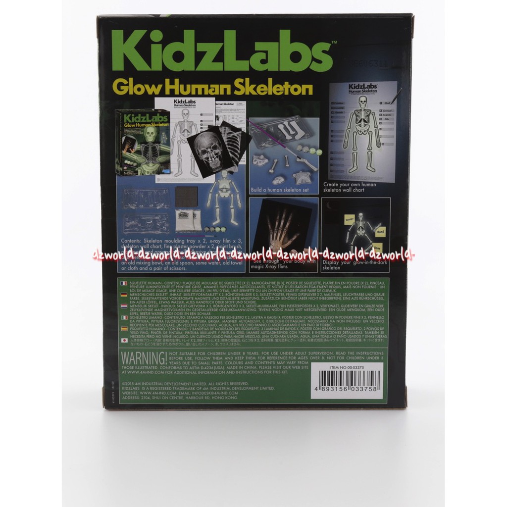 Kidzlabs Glow Human Skeleton mainan untuk merakit set kerangka manusia miniatur yang bersinar