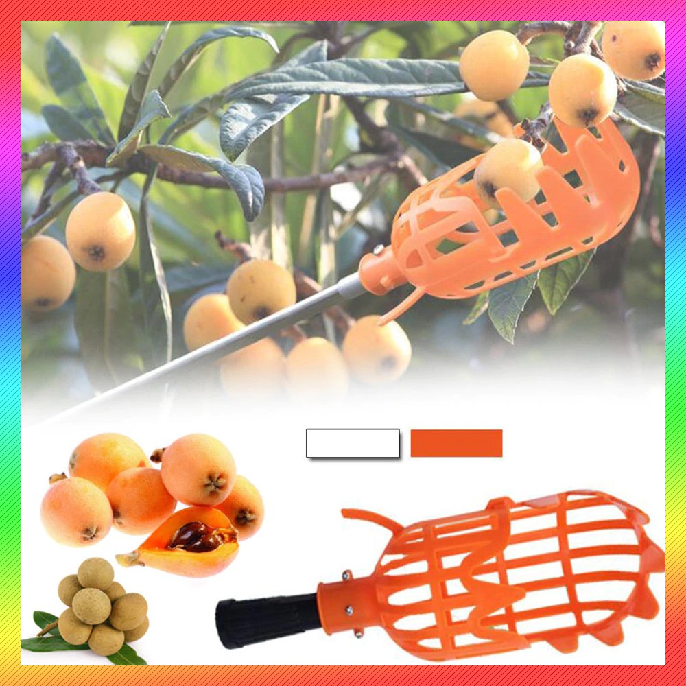 Grab Medan EPOCH Sekop Pemetik Buah Garden Fruit Picker Collection Head Tool - A47 - Orange