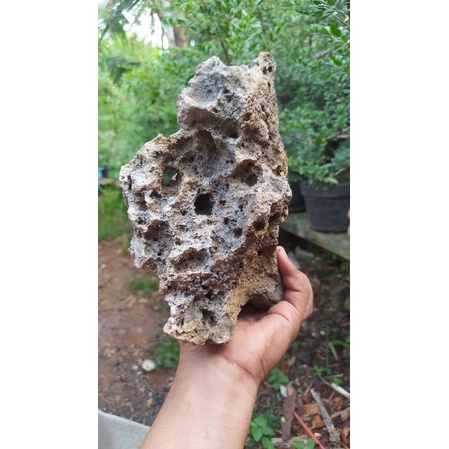 batu karang gunung realpict