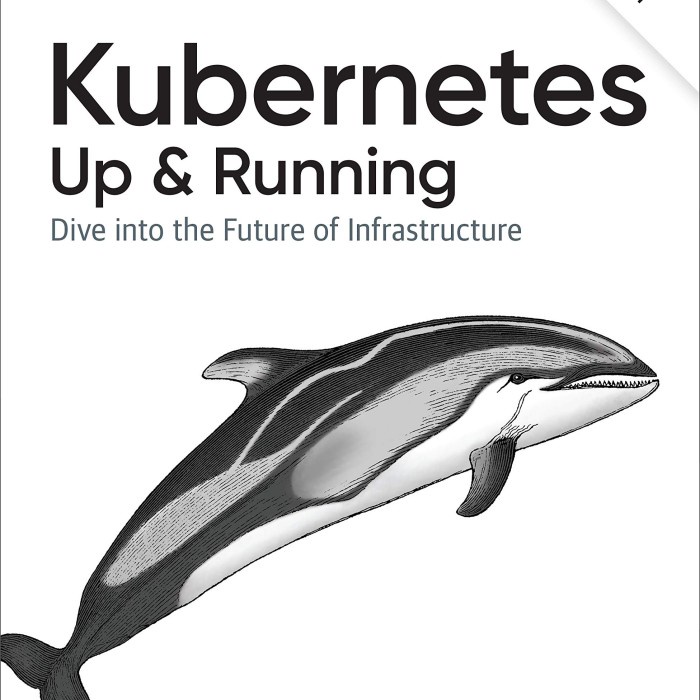 

database-buku- kubernetes up and running 2 edition -buku-database.