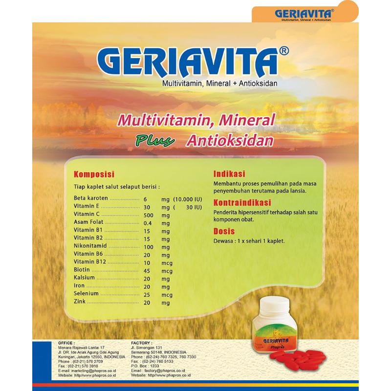 MULTIVITAMIN + ZINC (GERIAVITA)