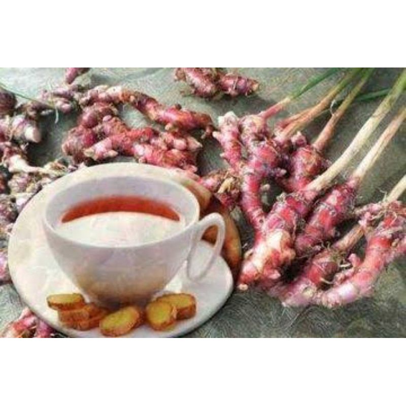 

serbuk jahe merah 100%asli tanpa campuran
