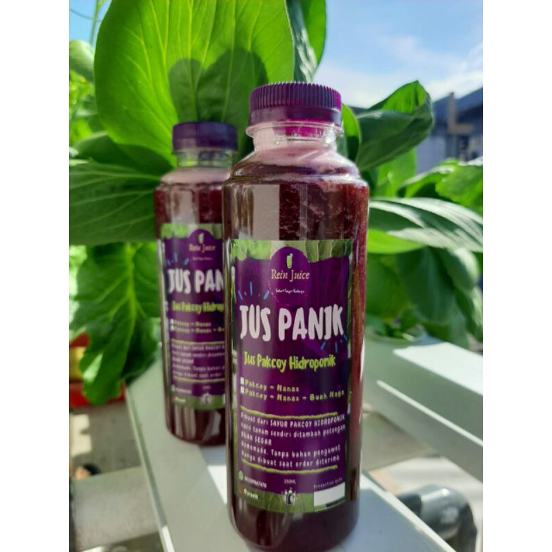 

JUS PANIK - Jus Sayur Pakcoy Hidroponik | Jus Pakcoy Nanas Mix Buah Naga 250ml