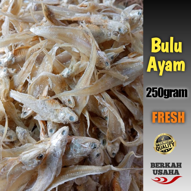 

IKAN ASIN BULU AYAM KERING 250gram