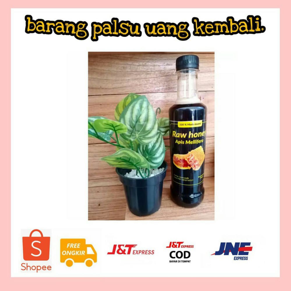 

Raw Honey Apis Malifera (madu hutan)