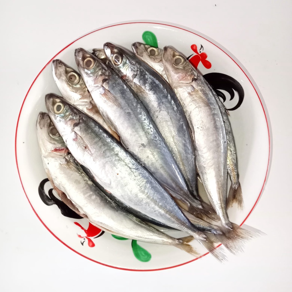 

Ikan Layang Deles Segar 1 kg