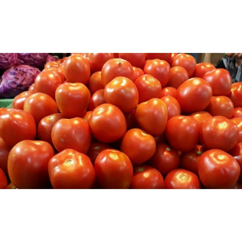 

TOMAT SEGAR /500 gr