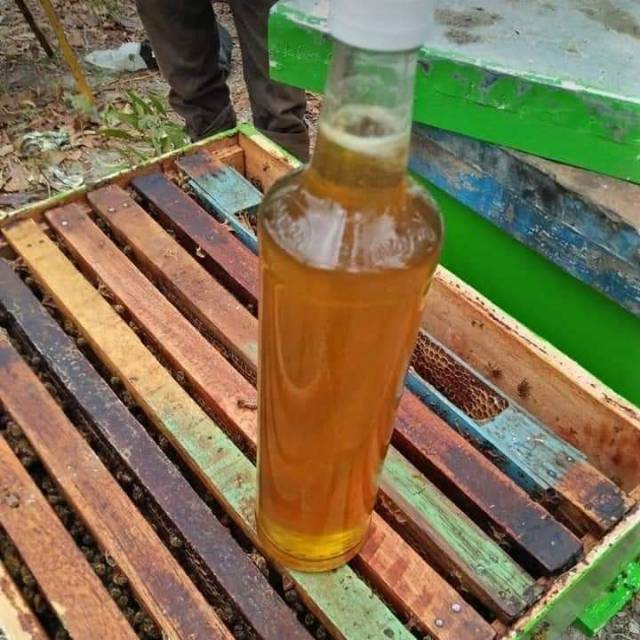 

Madu cair