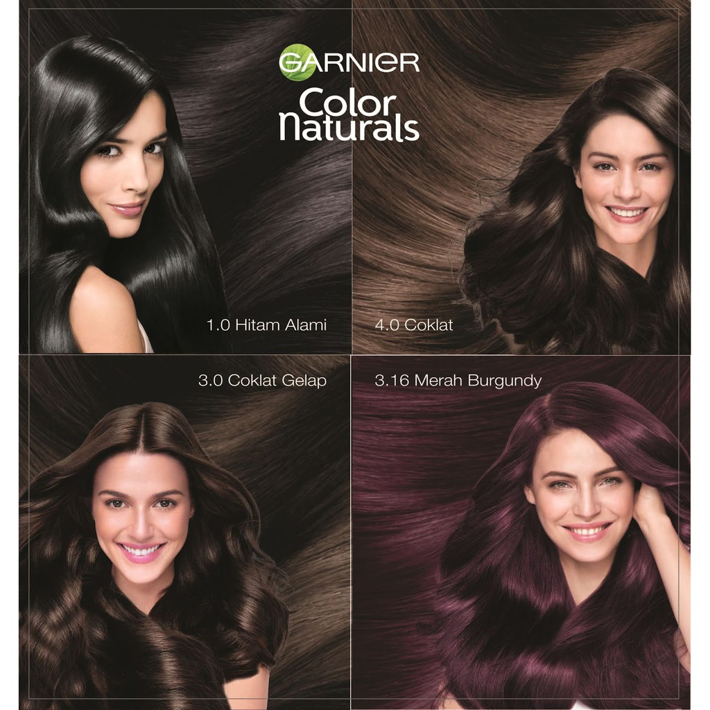 Jual Garnier Color Natural Hair Color 1 Box + Sachet (2pcs) | Shopee  Indonesia
