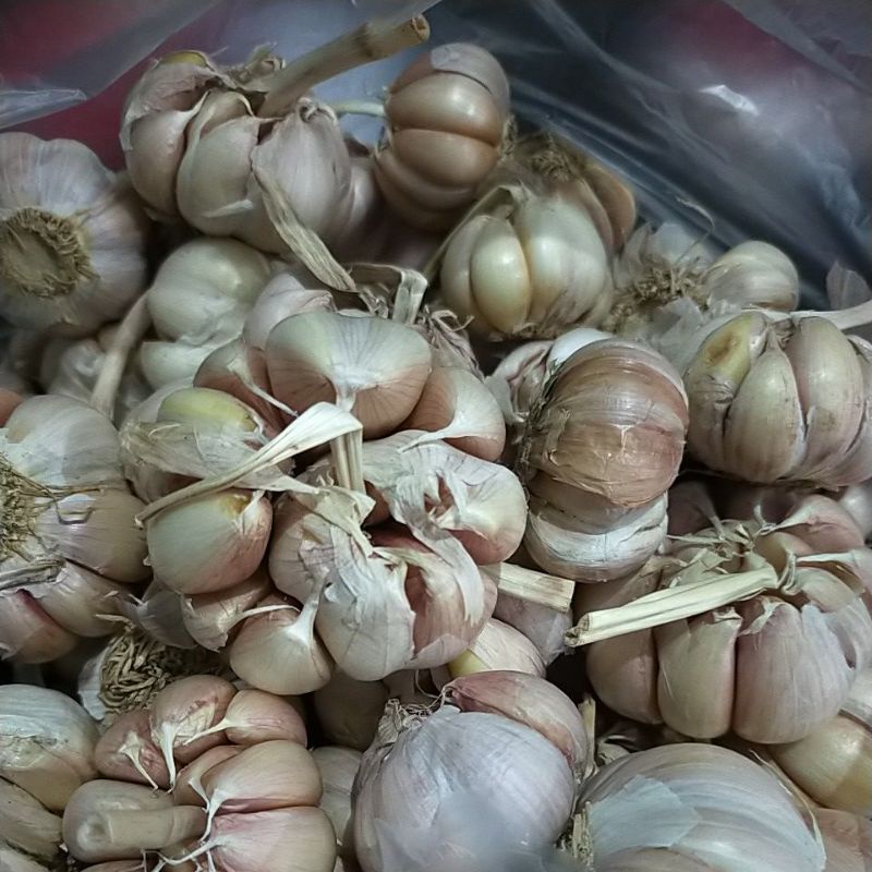 

Bawang putih mentah 250gr