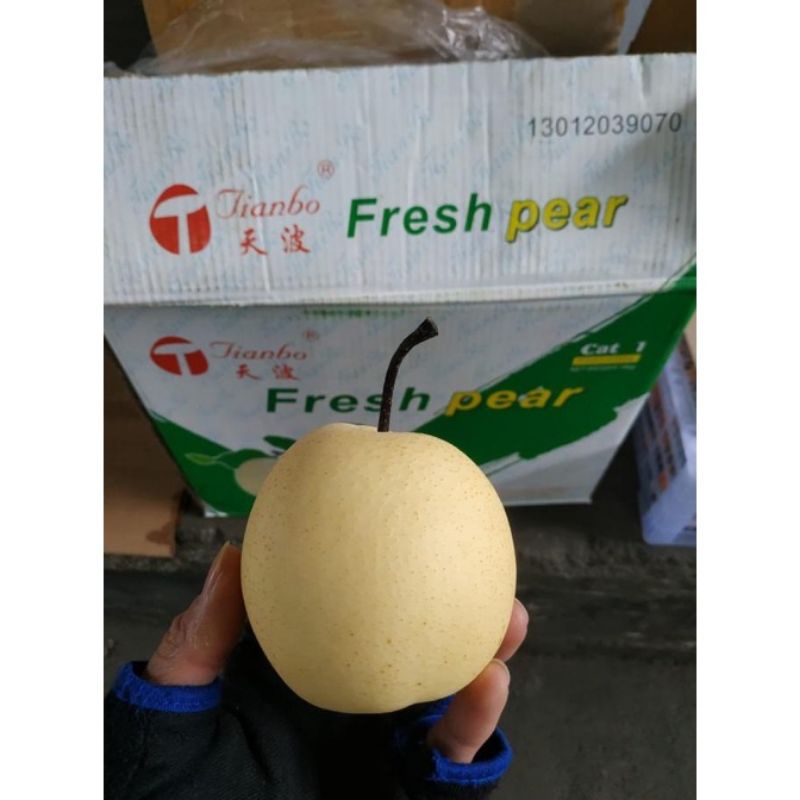 

PEAR CENTURY PER KARDUS/ 16kg