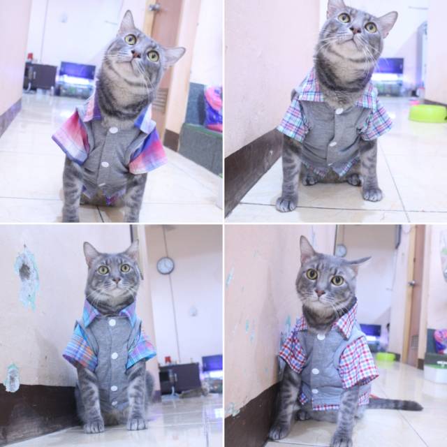 Baju kucing dropship pilih dulu sebelum memesan / baju kucing dan anjing murah size S-XL