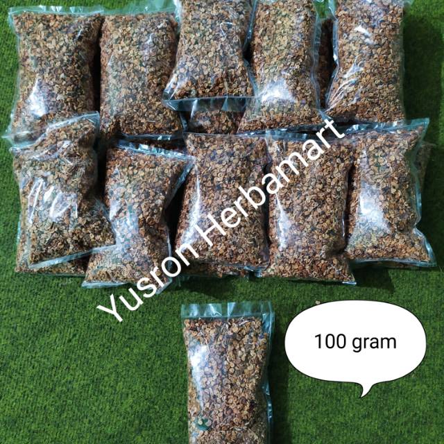 

BIJI BUAH KECUBUNG TUA 100 GRAM