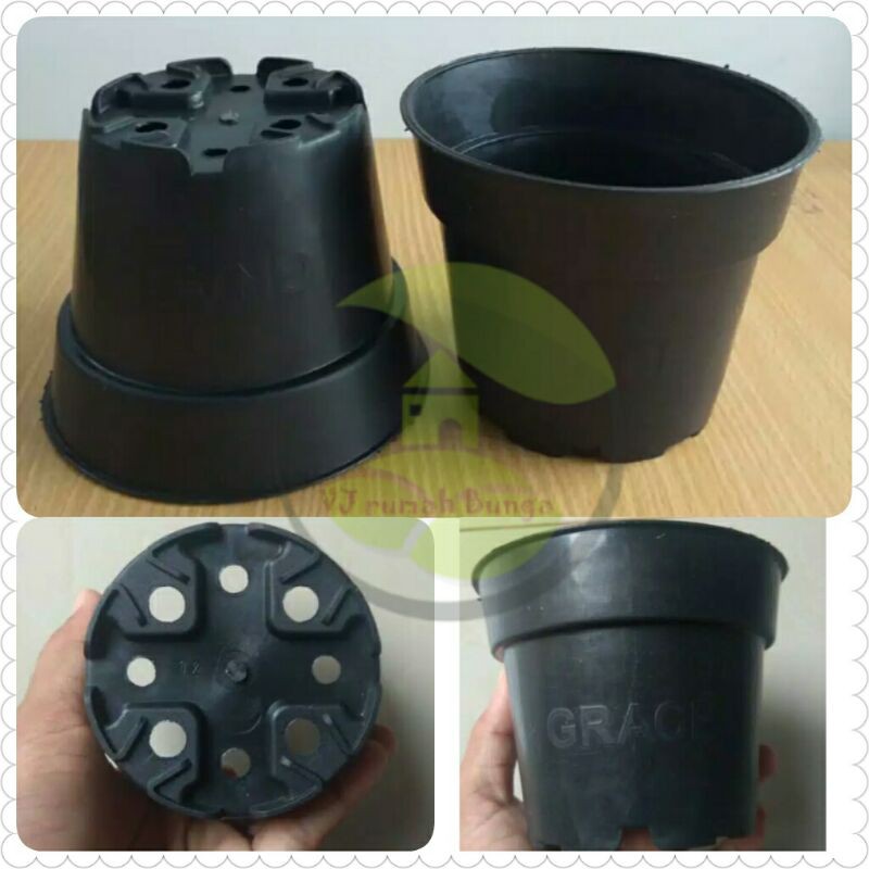 pot hitam 12cm termurah