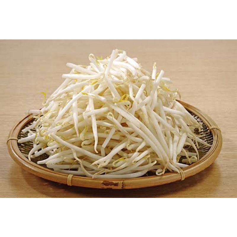 

Kongnamul Korean Tauge Panjang 100g - Toge Korea Untuk Masakan Korea