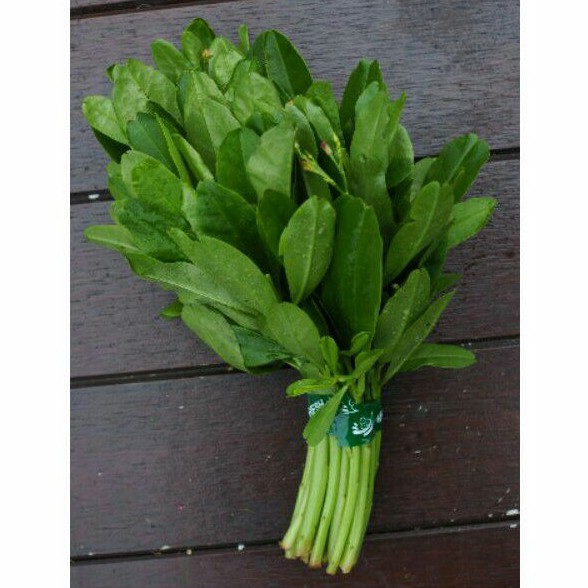 

daun Ginseng 1kg