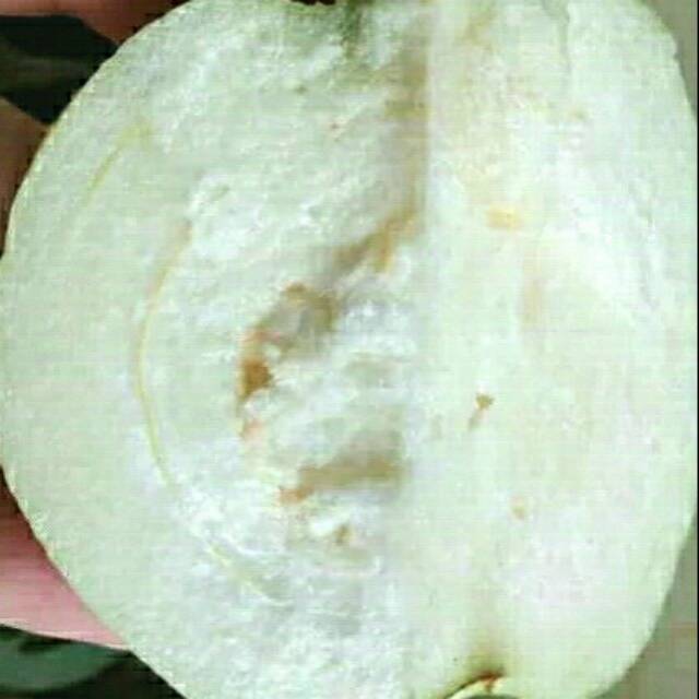 

buah Jambu kristal