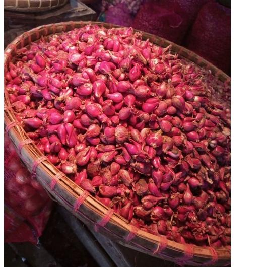 

Terbaru/Promo Hari Ini/【Promo Hari Ini】/Terbaik/『Terlaris』 Bawang Merah 1KG ⚡erbu Kejutan