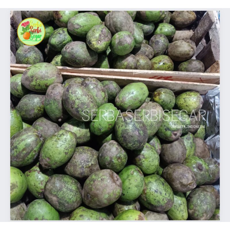 

KEDONDONG SEGAR 1KG