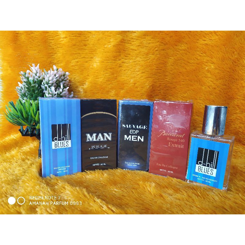 PARFUM PRIA BEST SELLER WANGI TAHAN LAMA 30 ML