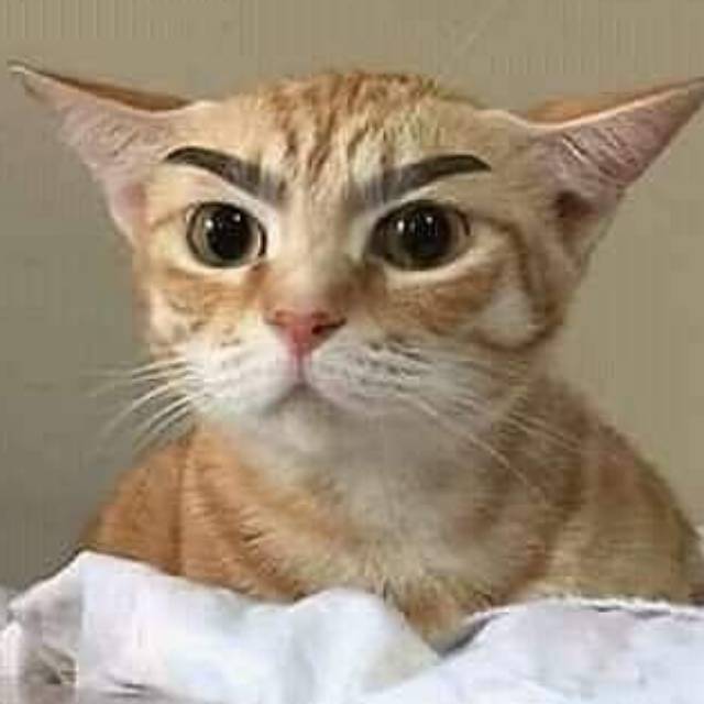 ratnawatie03