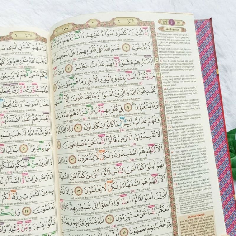 AL QURAN LATIN TERJEMAHAN DAN TAJWID WARNA UKURAN BESAR