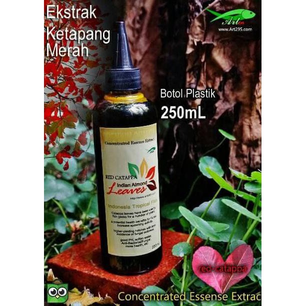 

PROMO Ekstrak Daun ketapang Merah 250mL Indian Almond Premium Quality