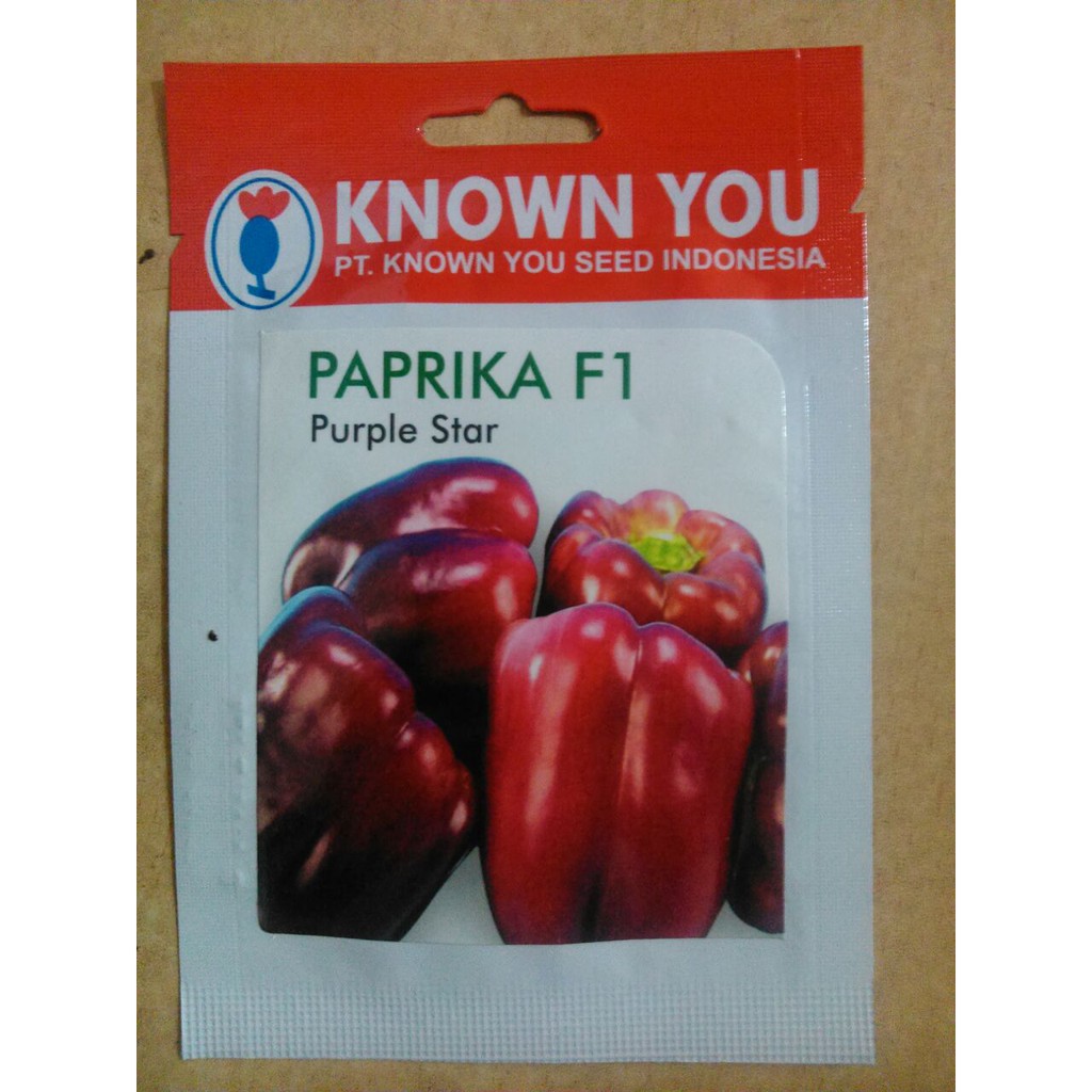 BENIH PAPRIKA F1 PURPLE STAR