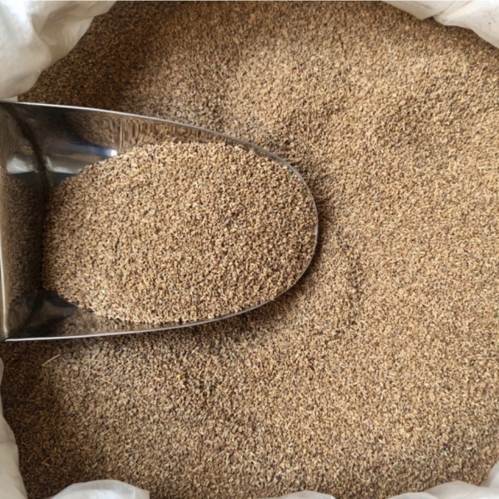 

New Biji Mungsi 100gr / 500gr - Ajwain Seed - Ketumbar Mungsi - 100 gram