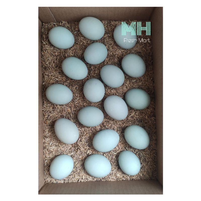 

TELUR BEBEK OMEGA ORANGE LANGSUNG DARI KANDANG