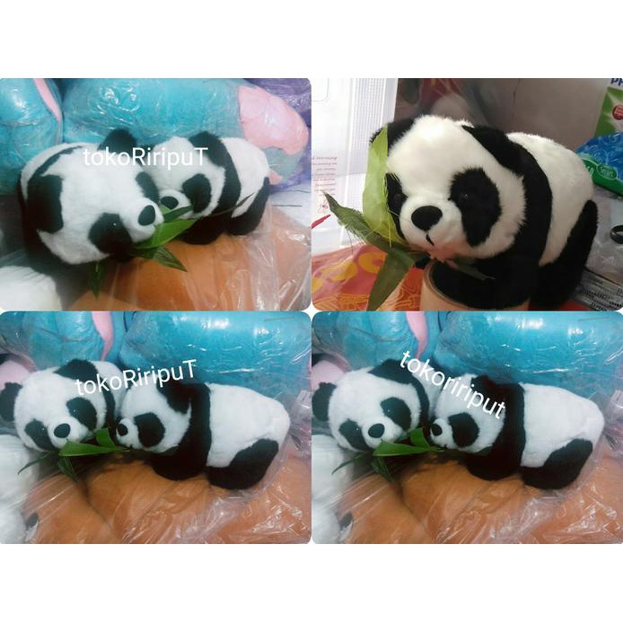 BONEKA ANAK PANDA EXPORT LUCU ( JUAL JG TAS ALTO KIDS BANTAL JUMBO BM1419 GT45