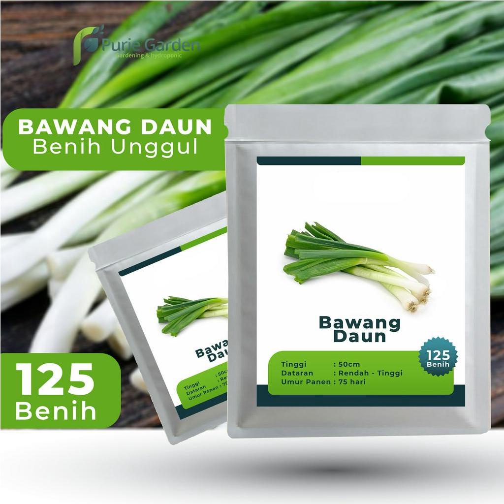 Benih Bibit Biji Unggul Bawang Daun 125 Benih PG KDR