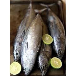 

Ikan Pindang / Ikan Tongkol 1 Ekor Per Kotak