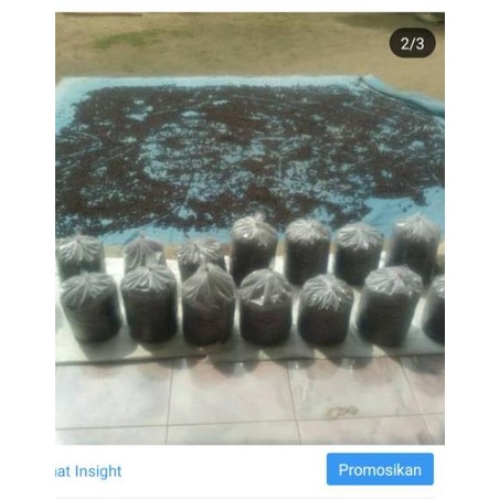 

ㅝ Promo Wine Robusta Raung | 250 Gram | SS Coffee LANGSUNG ORDER 3892 ♠