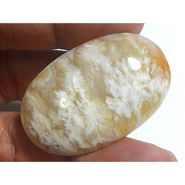 AG299 Oval Cabochon 43X28mm 83.6ct Natural Picture Agate White Orange Exotic Flower Cluster