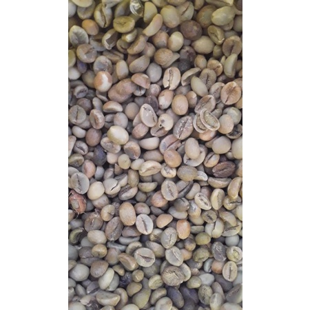 

biji kopi robusta Bondowoso
