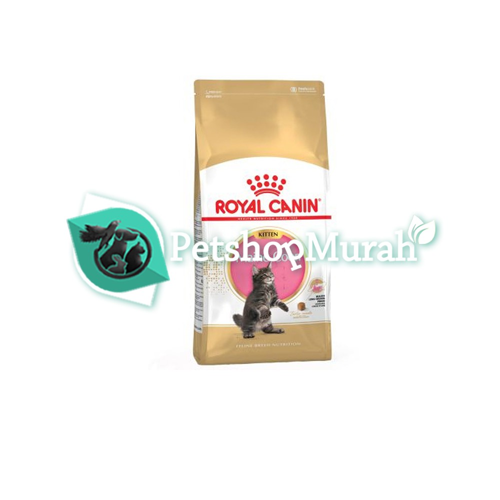 Royal Canin Maine Coon Kitten 400 Gram Makanan Kucing Anak