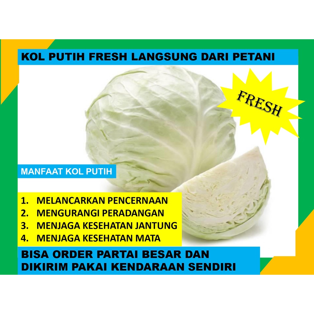 

Kol Putih Fresh Box Langsung Dari Petani