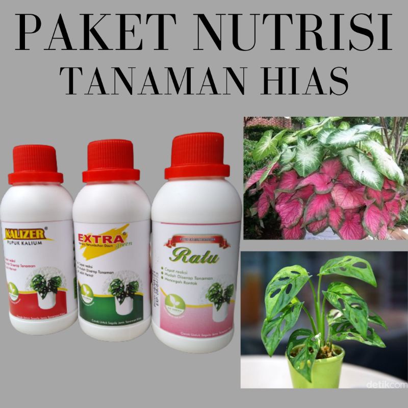 Paket Nutrisi Tanaman Hias Pupuk Tanaman Hias Yang Bagus, Pupuk Tanaman Hias Berbunga