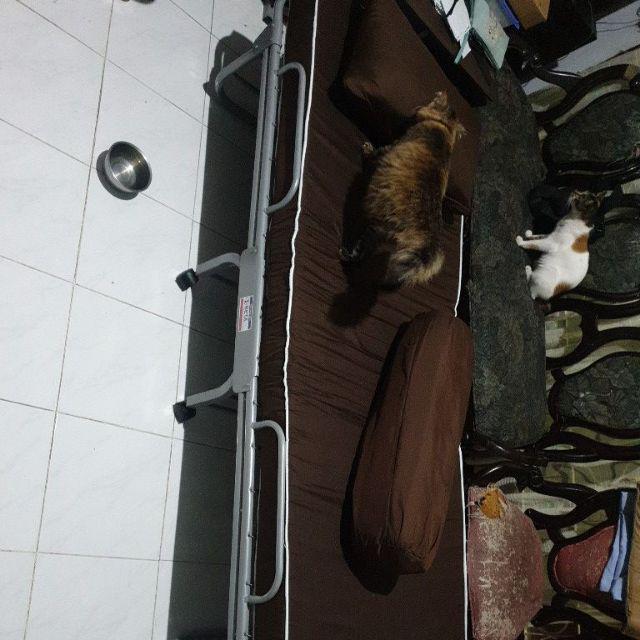 Betafoam Ranjang Lipat Poppy Folding Bed Tsp 70