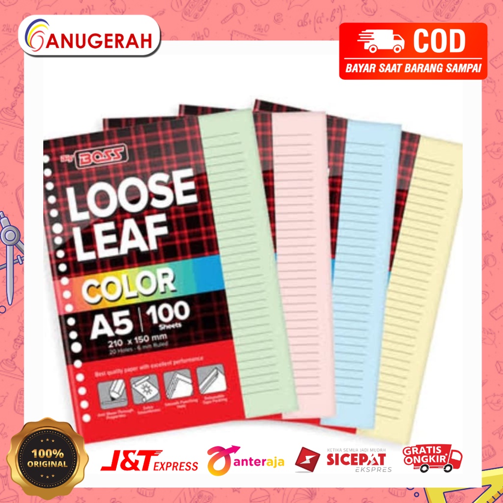 

BIG BOSS A5 100 LOOSE LEAF WARNA / COLOR GARIS